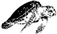 pythontool7
